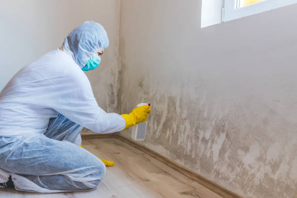 Best Mold Removal for HVAC Installations  in Elgin, SC